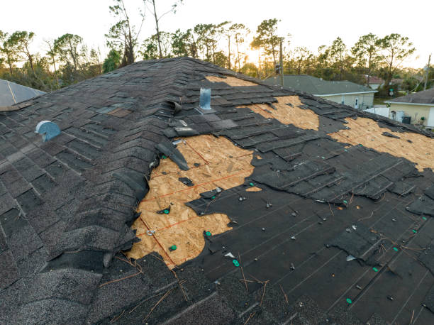 Best Roof Ventilation Installation  in Beach City, TX
